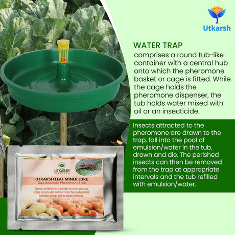 Tomato Leaf Miner Lure with Water Trap - Utkarsh Agrochem Pvt ltd. 