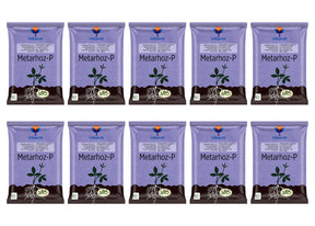 Metarhizium Anisopliae 1% W.P. 1 x 10^8 CFU/gm min. Bio Insecticides for Plants, Crops and Home Gardening - Metarhoz-P - Utkarsh Agrochem Pvt ltd. 
