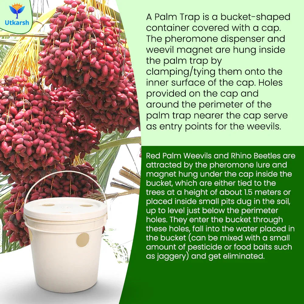 Red Palm Weevil Lure with RPW Magnet & Bucket Trap - Utkarsh Agrochem Pvt ltd. 