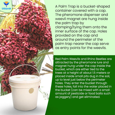 Red Palm Weevil Lure with RPW Magnet & Bucket Trap - Utkarsh Agrochem Pvt ltd. 