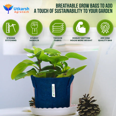400 GSM Geotextile Fabric Growbags- Blue, Pack of 5 - Utkarsh Agrochem Pvt ltd. 
