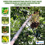 Mango Fruit Plucker with Net- 1 Pc - Utkarsh Agrochem Pvt ltd. 