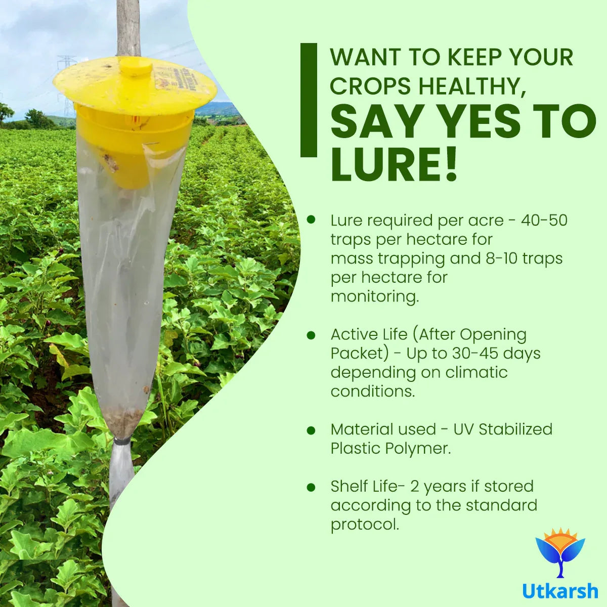 Egg Plant Borer Lure with Funnel Trap - Utkarsh Agrochem Pvt ltd. 