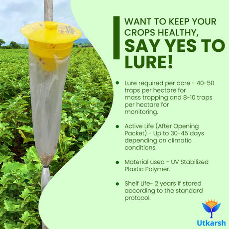 Egg Plant Borer Lure with Funnel Trap - Utkarsh Agrochem Pvt ltd. 