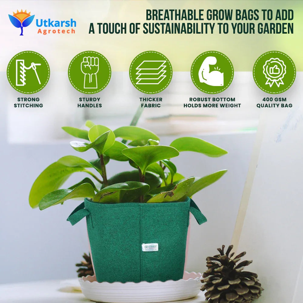 400 GSM Geo Textile Fabric Growbags- Green, Pack of 5 - Utkarsh Agrochem Pvt ltd. 