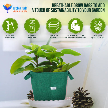 400 GSM Geo Textile Fabric Growbags- Green, Pack of 5 - Utkarsh Agrochem Pvt ltd. 