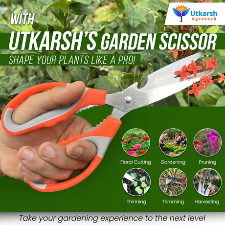 Garden Pruner Cutters, Scissors & ABS Gloves - 3 Pcs | Plant Branch Cutting Scissors for Gardening | Garden Plant Cutter Tools & Grass Pruning Accessories | Tools for Home Garden Kit - Utkarsh Agrochem Pvt ltd. 