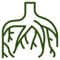 Deep Root System