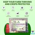 Egg Plant Borer Lure - Utkarsh Agrochem Pvt ltd. 