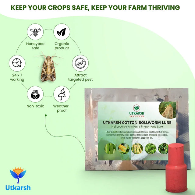 Cotton Bollworm Lure - Utkarsh Agrochem Pvt ltd. 