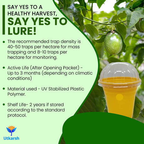 ME Fruit Fly (Oriental) Lure with Eco or Glass Trap - Utkarsh Agrochem Pvt ltd. 