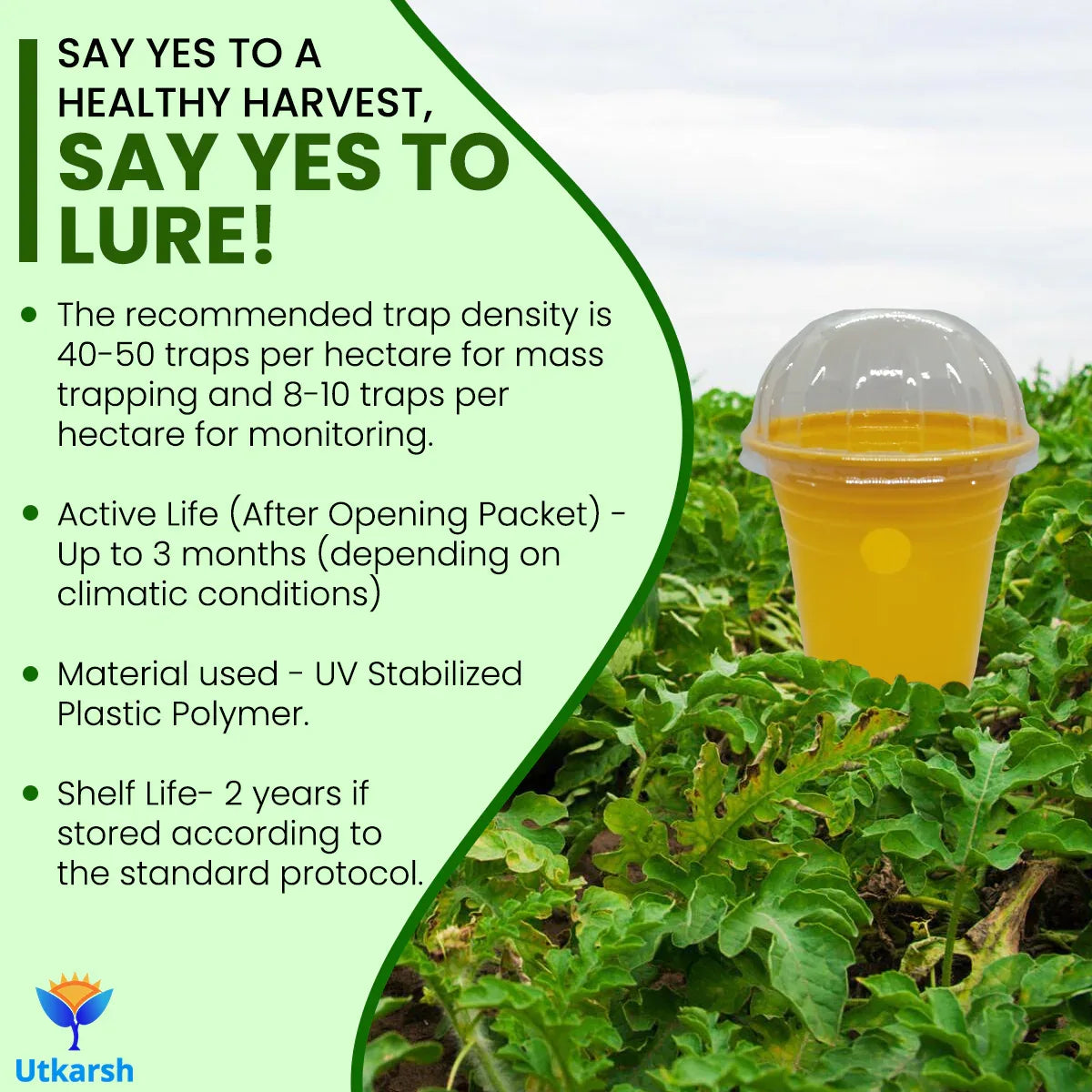 Melon Fly Lure with Eco or Glass Trap - Utkarsh Agrochem Pvt ltd. 