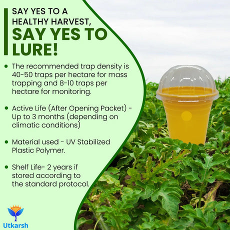 Melon Fly Lure with Eco or Glass Trap - Utkarsh Agrochem Pvt ltd. 