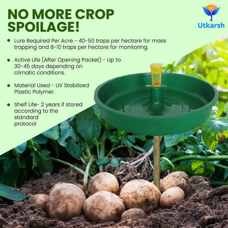 Tomato Leaf Miner Lure with Water Trap - Utkarsh Agrochem Pvt ltd. 