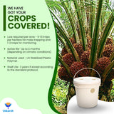 Red Palm Weevil Lure with RPW Magnet & Bucket Trap - Utkarsh Agrochem Pvt ltd. 