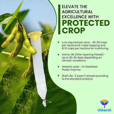 Oriental Leaf Worm Lure with Funnel Trap - Utkarsh Agrochem Pvt ltd. 