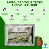 Fall Army Worm FAW Lure - Utkarsh Agrochem Pvt ltd. 