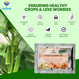 Tomato Leaf Miner Lure with Water Trap - Utkarsh Agrochem Pvt ltd. 
