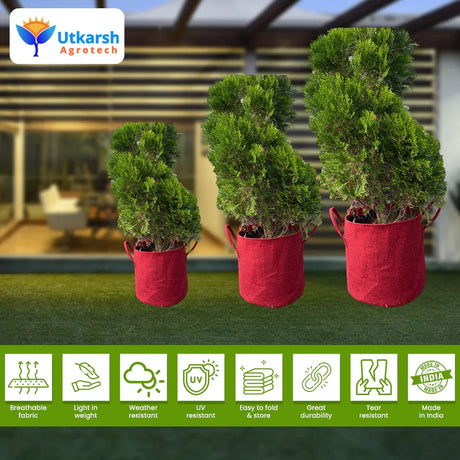 400 GSM Geo Textile Fabric Growbags- Maroon, Pack of 10 - Utkarsh Agrochem Pvt ltd. 
