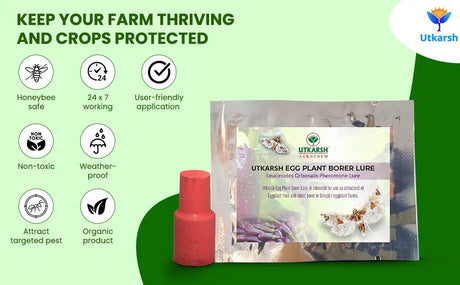 Egg Plant Borer Lure with Water Trap - Utkarsh Agrochem Pvt ltd. 