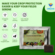 crop pest control solution infographic for healthy plant protection