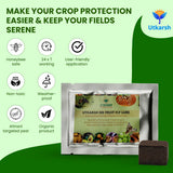 crop pest control solution infographic for healthy plant protection