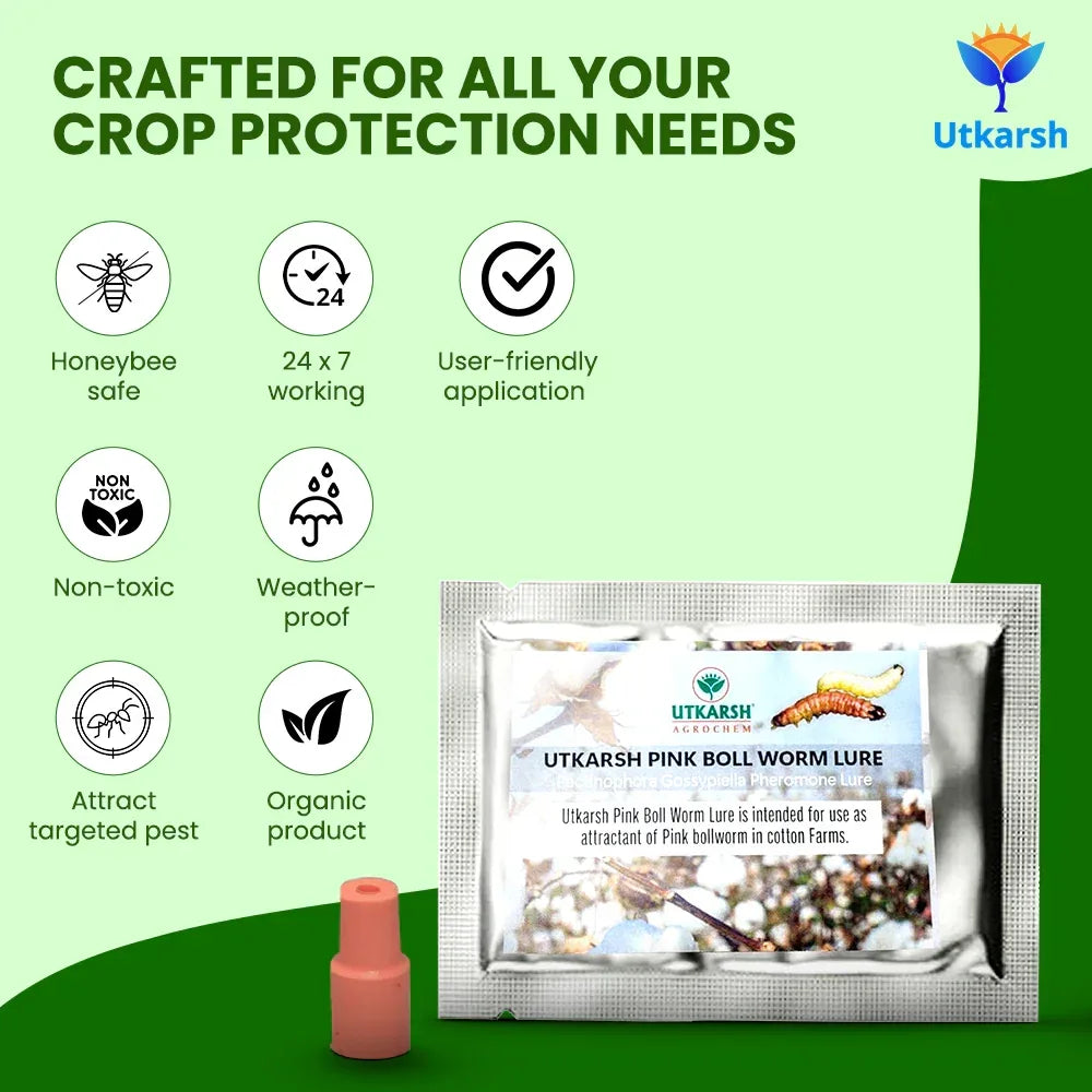 Pink Boll Worm Lure - Utkarsh Agrochem Pvt ltd. 