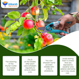 Garden Hand Pruner Cutter with Carbon Steel Blades | Plant Cutter for Home Garden | Wood Branch Trimmer, Sturdy Stem Scissors | Grass Cutting Accessory - Utkarsh Agrochem Pvt ltd. 