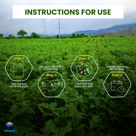 Rice Yellow Stem Borer YSB Lure with Funnel Trap - Utkarsh Agrochem Pvt ltd. 