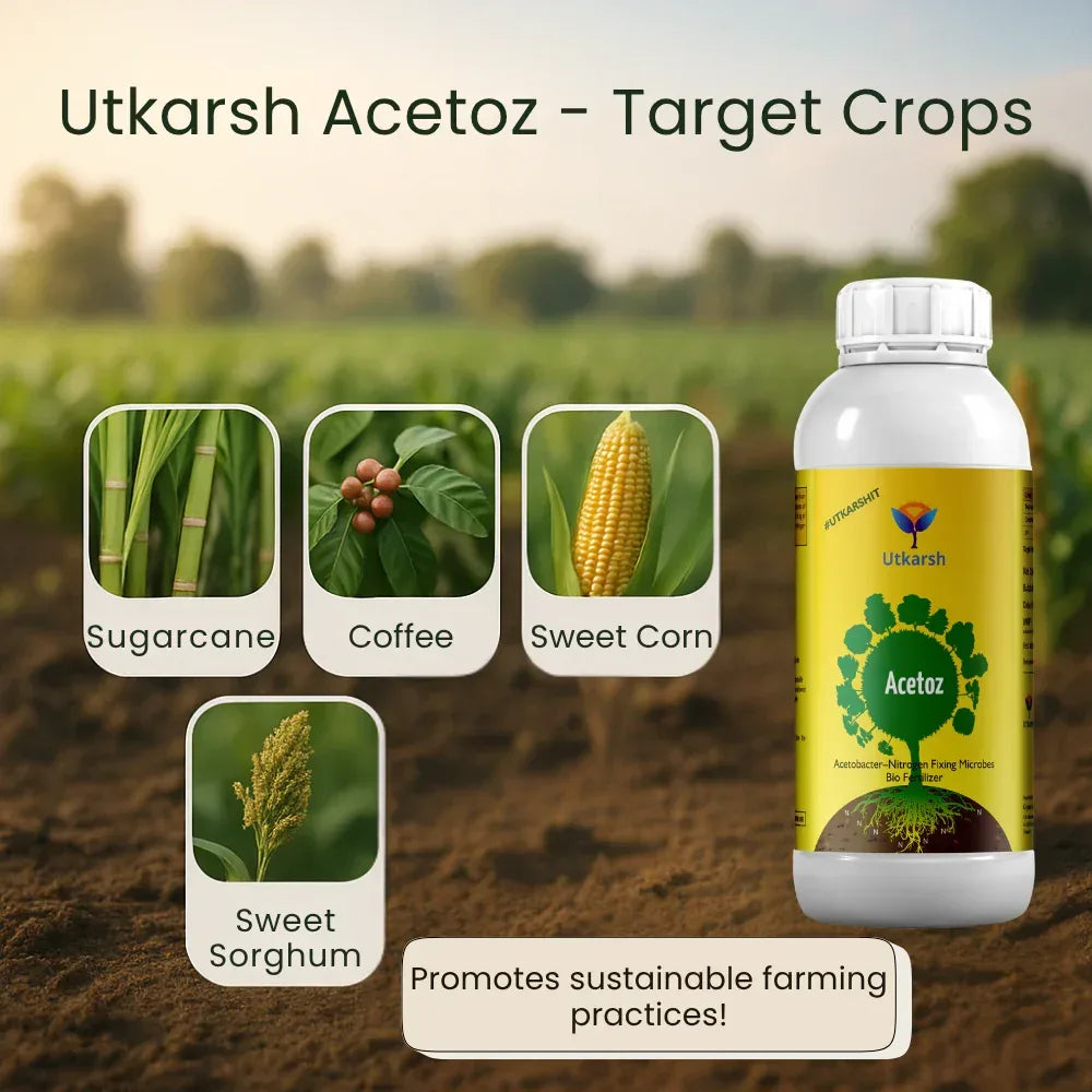Acetobacter - Nitrogen Fixing Microbes, Liquid Bio Fertilizer for Plants Growth, Enhances Soil Structure & Fertility, Yields & Nutrient Uptake | Acetoz - 20 Litre - Utkarsh Agrochem Pvt ltd. 