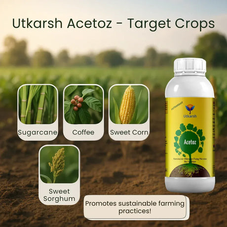 Acetobacter - Nitrogen Fixing Microbes, Liquid Bio Fertilizer for Plants Growth, Enhances Soil Structure & Fertility, Yields & Nutrient Uptake | Acetoz - 20 Litre - Utkarsh Agrochem Pvt ltd. 