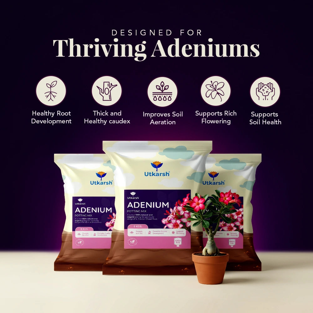 Adenium Potting Mix for Desert Rose Plants | Fast-Draining Organic Soil Blend with Microorganisms, Perlite & Neem Cake | Promotes Healthy Caudex, Root Health & Heavy Blooming