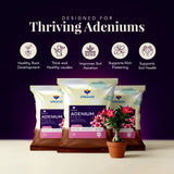 Adenium Potting Mix for Desert Rose Plants | Fast-Draining Organic Soil Blend with Microorganisms, Perlite & Neem Cake | Promotes Healthy Caudex, Root Health & Heavy Blooming