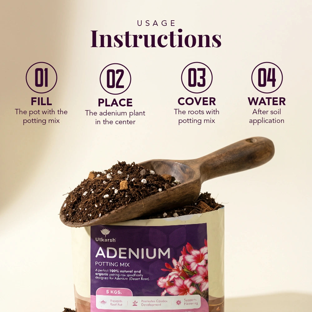 Adenium Potting Mix for Desert Rose Plants | Fast-Draining Organic Soil Blend with Microorganisms, Perlite & Neem Cake | Promotes Healthy Caudex, Root Health & Heavy Blooming