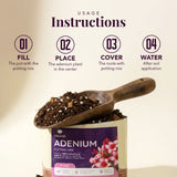 Adenium Potting Mix for Desert Rose Plants | Fast-Draining Organic Soil Blend with Microorganisms, Perlite & Neem Cake | Promotes Healthy Caudex, Root Health & Heavy Blooming