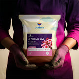 Adenium Potting Mix for Desert Rose Plants | Fast-Draining Organic Soil Blend with Microorganisms, Perlite & Neem Cake | Promotes Healthy Caudex, Root Health & Heavy Blooming
