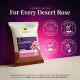 Adenium Potting Mix for Desert Rose Plants | Fast-Draining Organic Soil Blend with Microorganisms, Perlite & Neem Cake | Promotes Healthy Caudex, Root Health & Heavy Blooming
