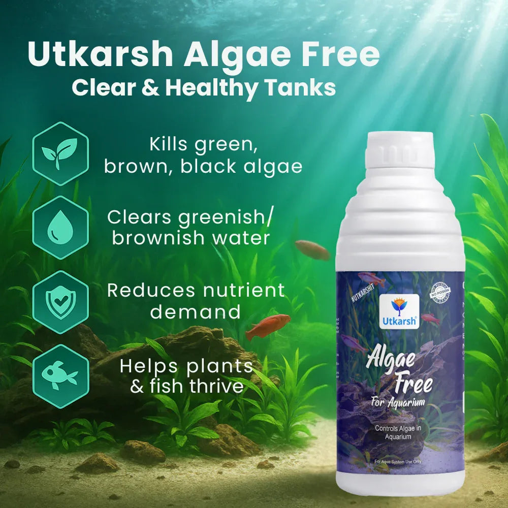 Algae Free for Aquarium Tank | Algae Cleaner, Liquid Algae Scraper for Fish Tank and Algae Remover - Utkarsh Agrochem Pvt ltd. 
