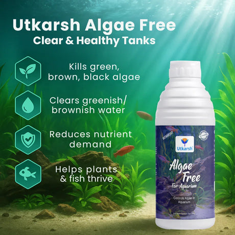 Algae Free for Aquarium Tank | Algae Cleaner, Liquid Algae Scraper for Fish Tank and Algae Remover - Utkarsh Agrochem Pvt ltd. 