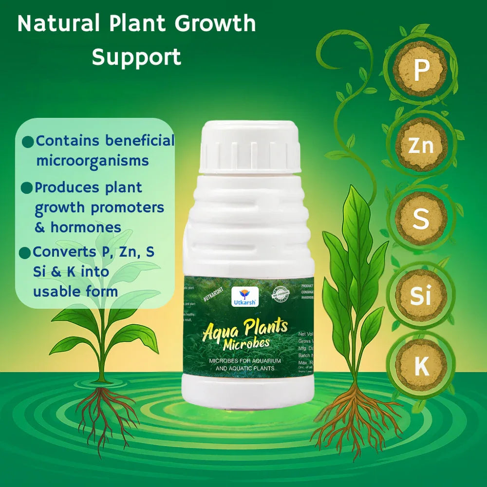 Aqua Plants Microbes for Aquarium and Aquatic Plants - Utkarsh Agrochem Pvt ltd. 
