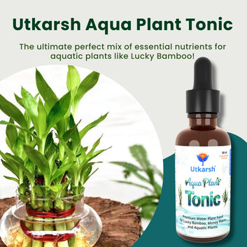 Aqua Plant Tonic - 50 ml, Liquid Fertilizer for Plants Growing in Water | Premium Plant Food & Growth Booster for Lucky Bamboo, Aquatic and Money Plants, Pack of 1