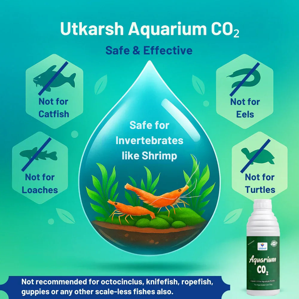 Aquarium CO₂ (Liquid CO2 for Aquarium Plants) - Utkarsh Agrochem Pvt ltd. 