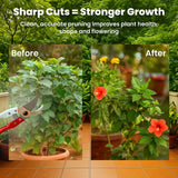 Assorted Hand Pruner Cutter - 1 Pc (Steel Blades) | Heavy Duty Gardening Cutter Tool | Plant Cutter for Home Garden, Wood Branch Trimmer, Sturdy Stem Scissors, Grass Cutting Accessory - Utkarsh Agrochem Pvt ltd. 