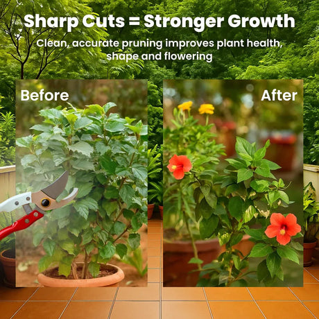 Assorted Hand Pruner Cutter - 1 Pc (Steel Blades) | Heavy Duty Gardening Cutter Tool | Plant Cutter for Home Garden, Wood Branch Trimmer, Sturdy Stem Scissors, Grass Cutting Accessory - Utkarsh Agrochem Pvt ltd. 