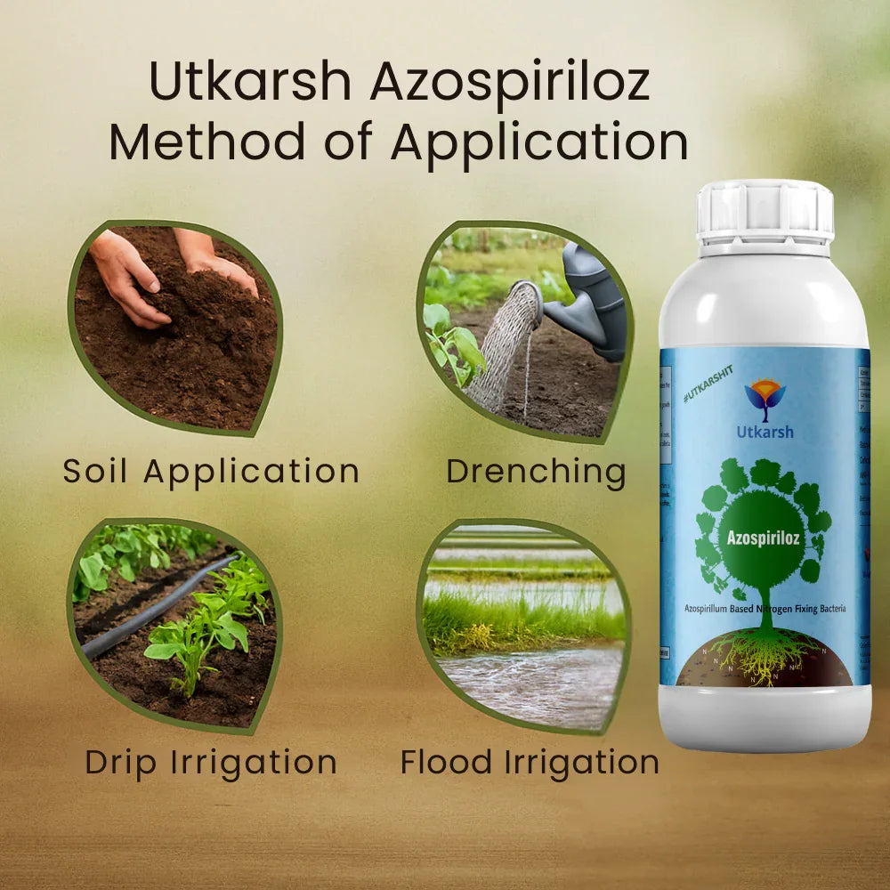 Azospirillum - Nitrogen Fixing Microbes, Liquid Bio Fertilizer for Plants Growth, Healthy Roots, Protect Plants from Biotic & Abiotic Stresses | Azospiriloz - Utkarsh Agrochem Pvt ltd. 