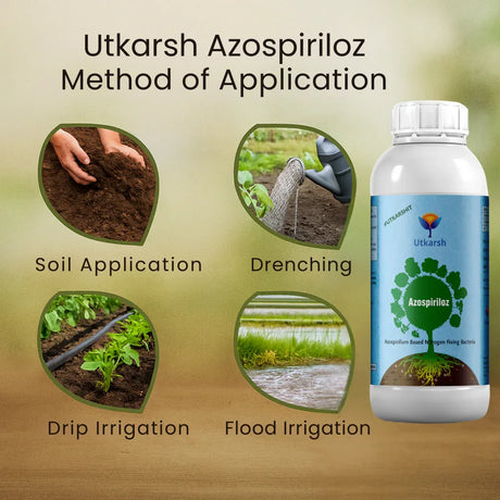 Azospirillum - Nitrogen Fixing Microbes, Liquid Bio Fertilizer for Plants Growth, Healthy Roots, Protect Plants from Biotic & Abiotic Stresses | Azospiriloz - Utkarsh Agrochem Pvt ltd. 