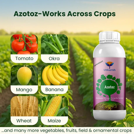 Azotobacter - Nitrogen Fixing Microbes, Liquid Bio Fertilizer for Plants Growth, Increases Soil Structure & Fertility, Yields & Nutrient uptake | Azotoz - 20 Litre - Utkarsh Agrochem Pvt ltd. 