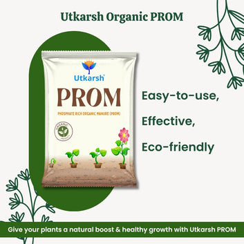 PROM - Phosphate Rich Organic Manure for Plants, Home Garden, 100% Water Soluble Granules, Fertilizers for Plants Growth, Bio DAP to Improve Flowering, Fruiting & Vegetables
