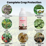Bacillus Subtilis - Liquid Bio Fungicides for Plants, Home Garden, Crops and Nursey | BaciSub-L - Utkarsh Agrochem Pvt ltd. 