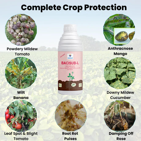 Bacillus Subtilis - Liquid Bio Fungicides for Plants, Home Garden, Crops and Nursey | BaciSub-L - Utkarsh Agrochem Pvt ltd. 